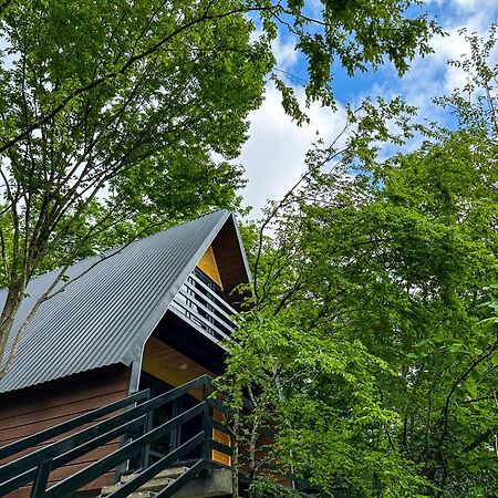 Martvili Canyon Cottage エクステリア 写真